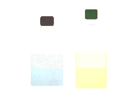 Air Bar Flux S: Flavor Portfolio for Distributors