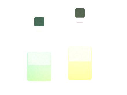 Air Bar Zen 3: Sample Order Workflow for Distributors